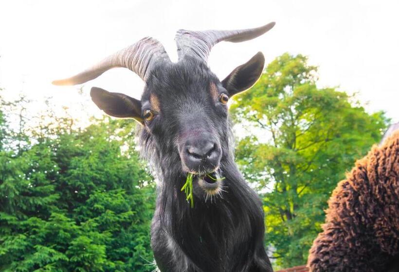 פנסיון Penzion Vápenka