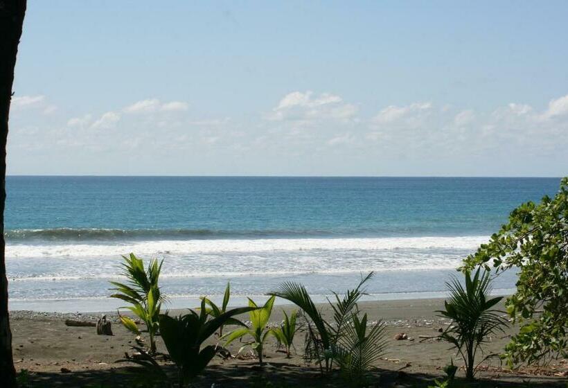 بنسيون Sol Pacifico Lodge