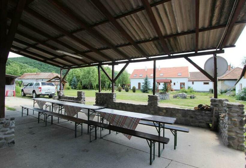 Пансион Toldi Vendégház