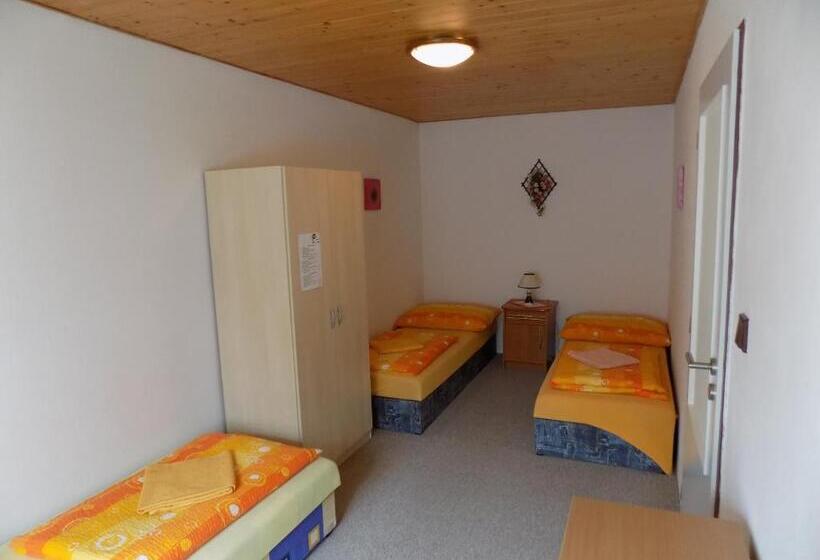 Пансион Ubytování Apartmány Ferenčíková