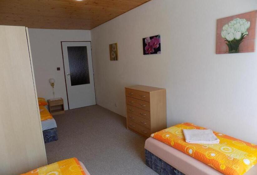 Пансион Ubytování Apartmány Ferenčíková