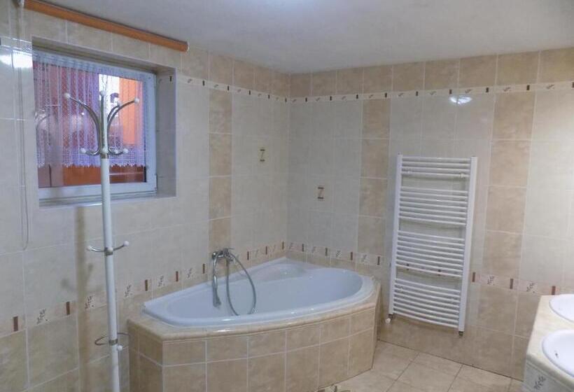 Пансион Ubytování Apartmány Ferenčíková