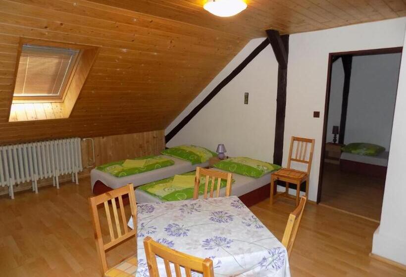 Пансион Ubytování Apartmány Ferenčíková