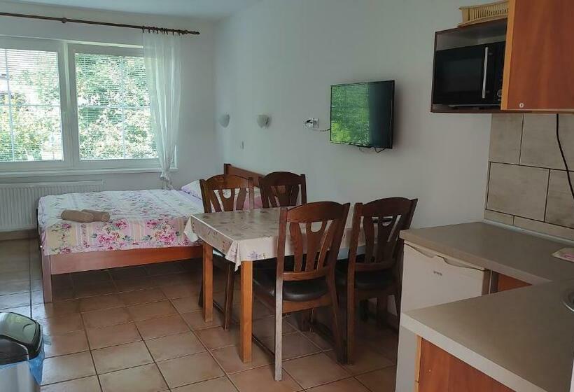 Пансион Ubytování Carmen