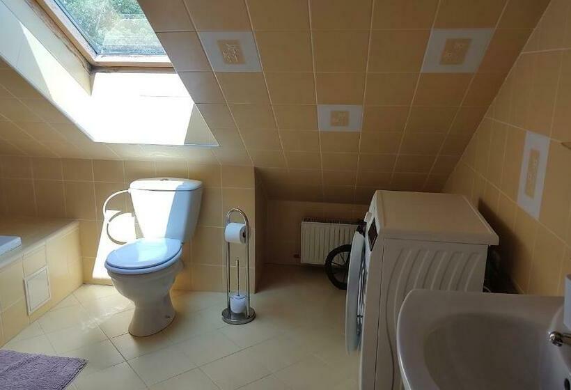 Пансион Ubytování Carmen