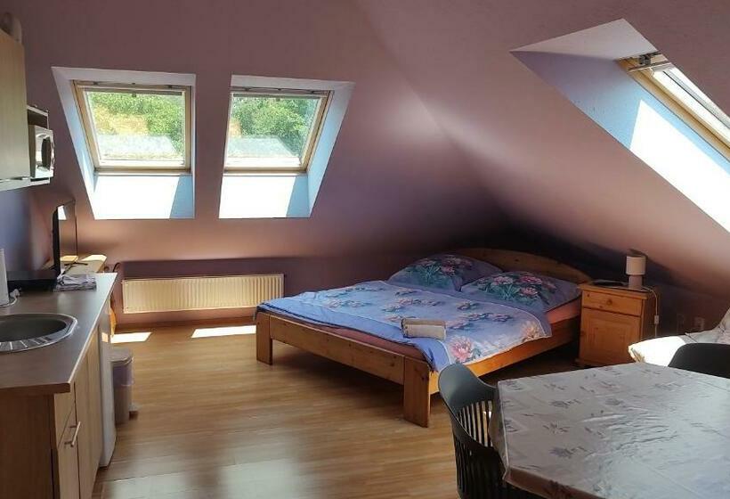 Пансион Ubytování Carmen