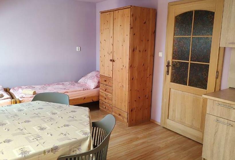 Пансион Ubytování Carmen