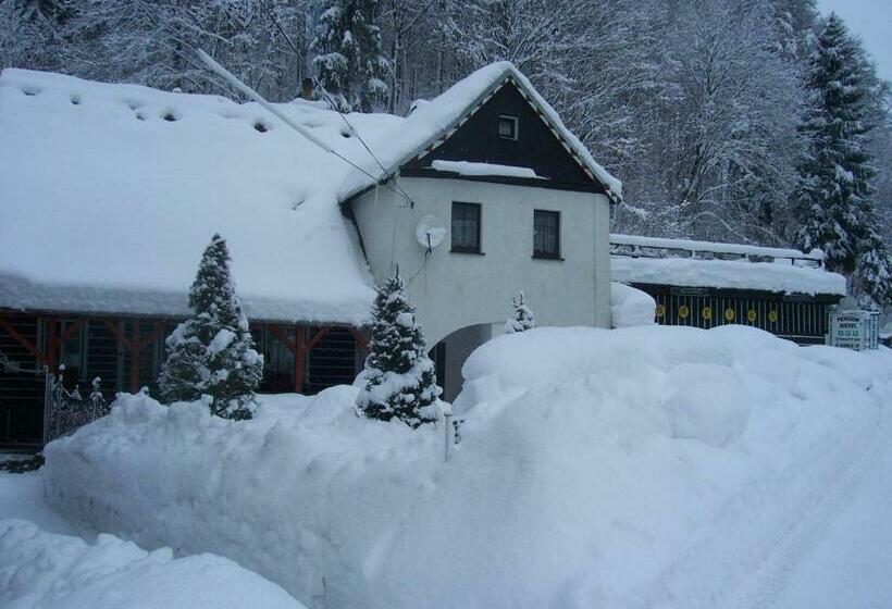 ペンション Ubytování Riegel