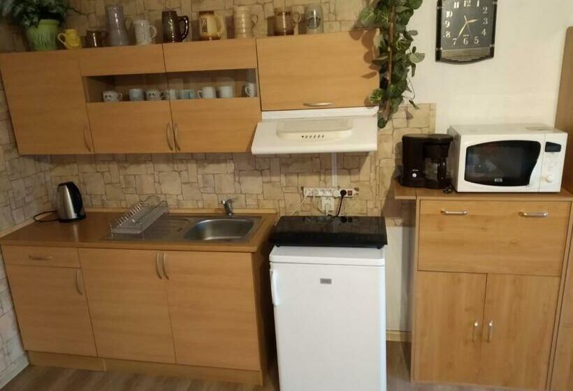 ペンション Ubytování Riegel