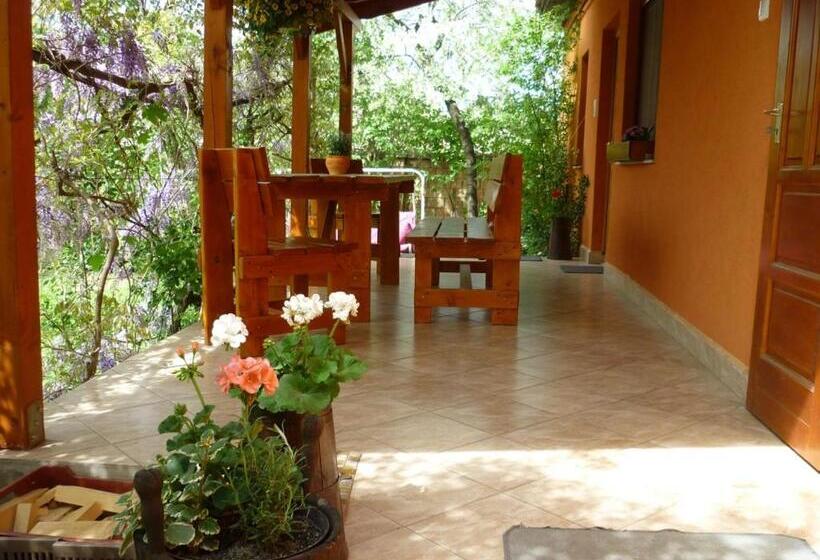 Пансион Vadregény Vendégház