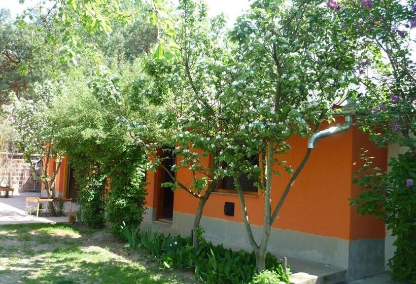 Пансион Vadregény Vendégház