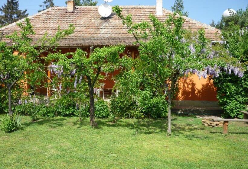 Пансион Vadregény Vendégház