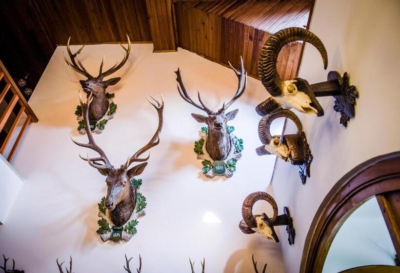 פנסיון Zseri Vadászház