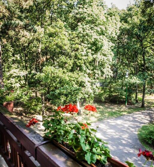 פנסיון Zseri Vadászház