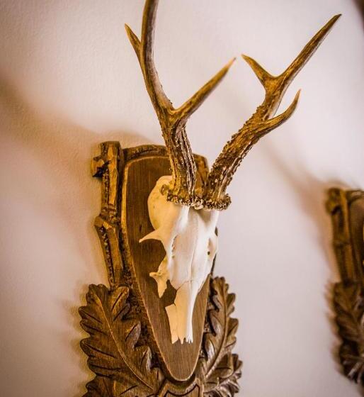 פנסיון Zseri Vadászház