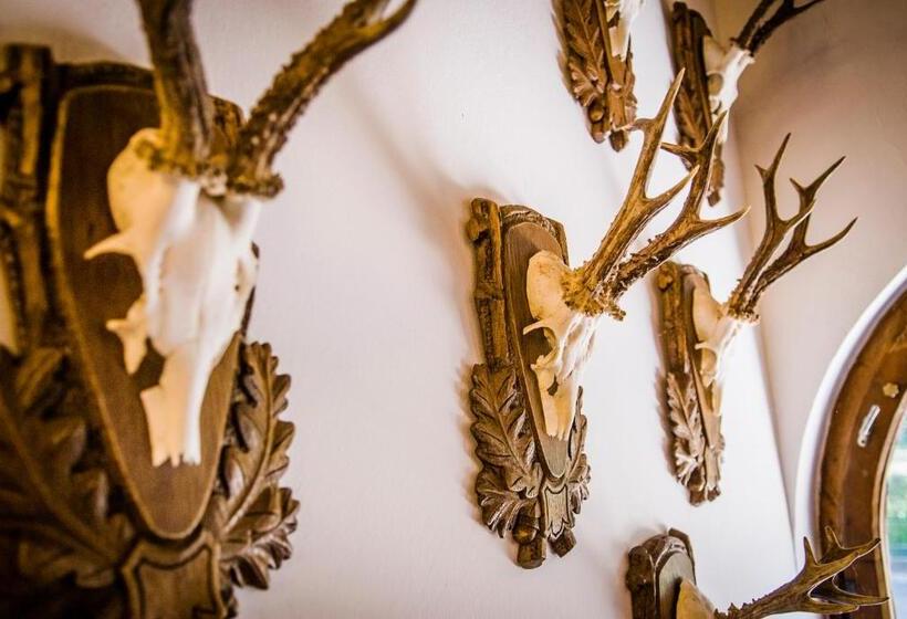 פנסיון Zseri Vadászház