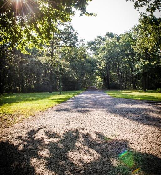 פנסיון Zseri Vadászház