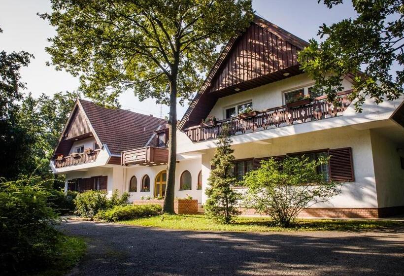 פנסיון Zseri Vadászház