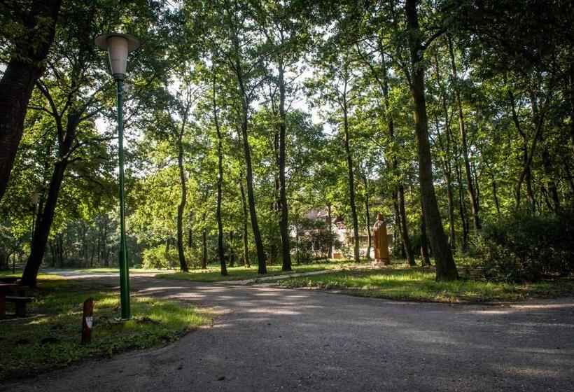 פנסיון Zseri Vadászház