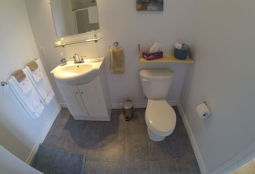 The Fiddle And The Sea Bed And Breakfast