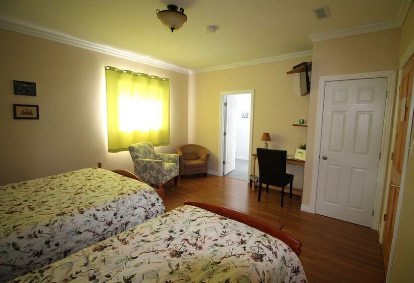 The Fiddle And The Sea Bed And Breakfast