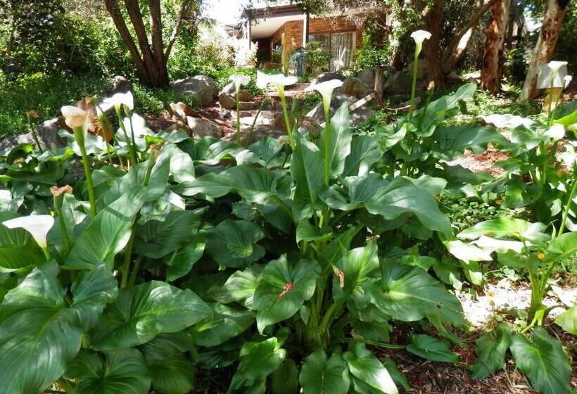 The Hideaway Luxury B&b Retreat