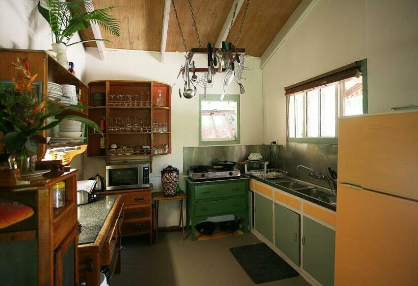 Tropical Bliss Bed And Breakfast