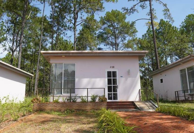 Vkirirom Pine Resort