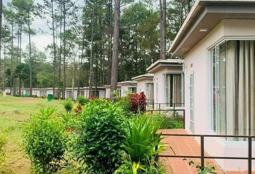 Vkirirom Pine Resort