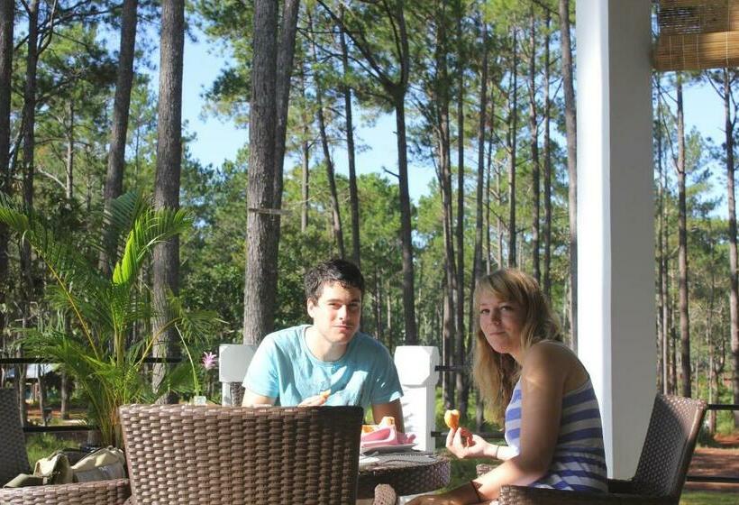 Vkirirom Pine Resort