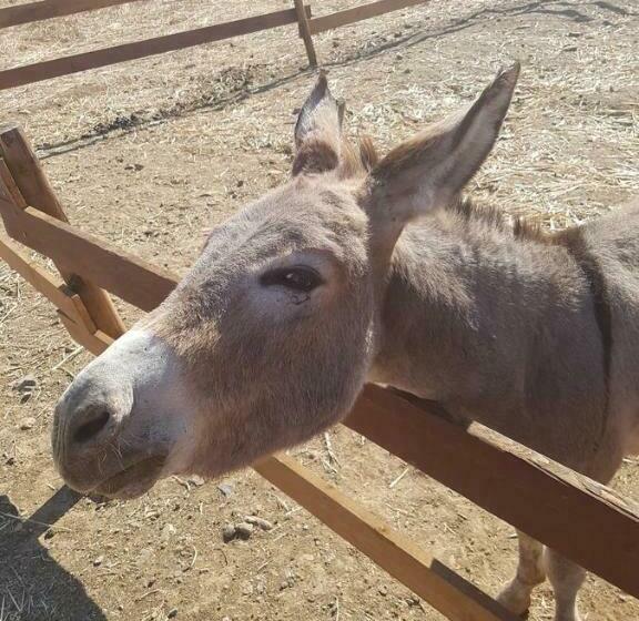 Agriturismo Gennemara B&b