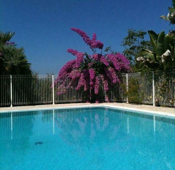 فندق صغير Auberge U Licettu