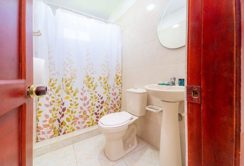 旅馆 Ayenda Baly Express