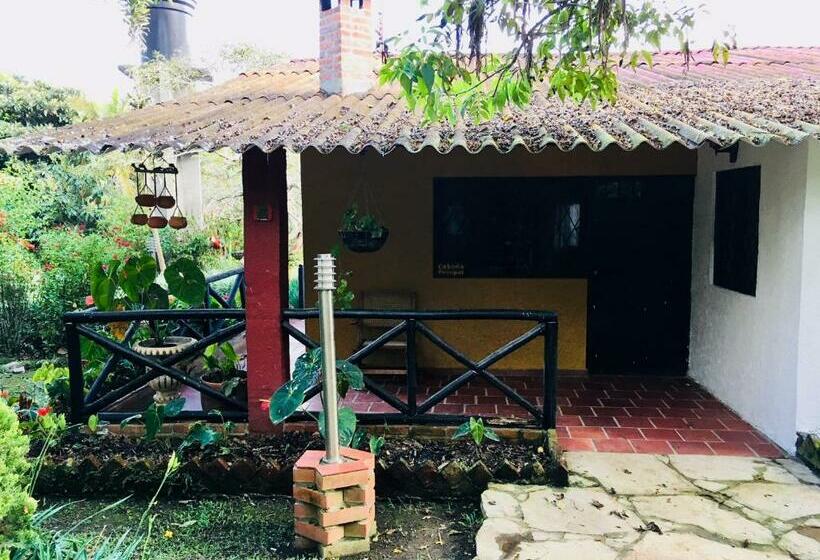 호스텔 Cabañas La Carolina   Mesa De Los Santos