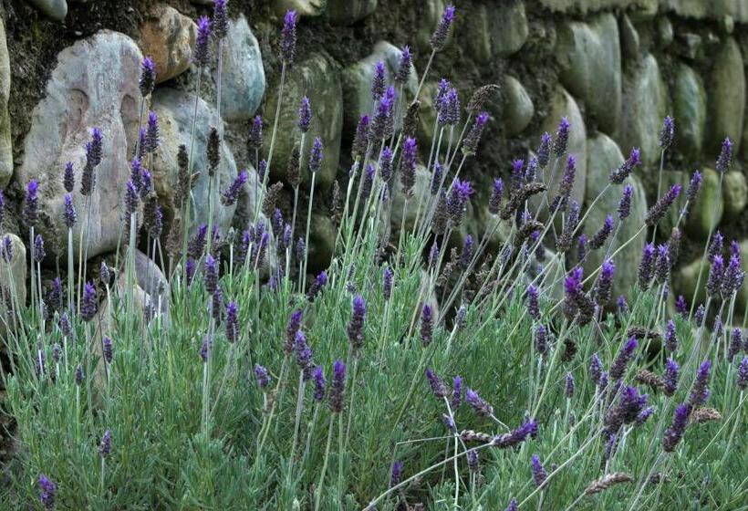 Общежитие Cabañas Rosaverde