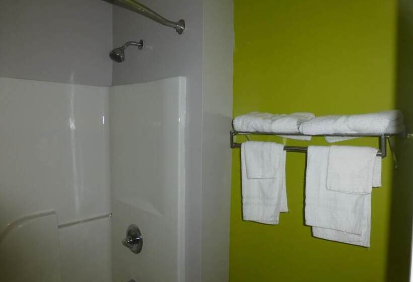 فندق صغير Coach Inn