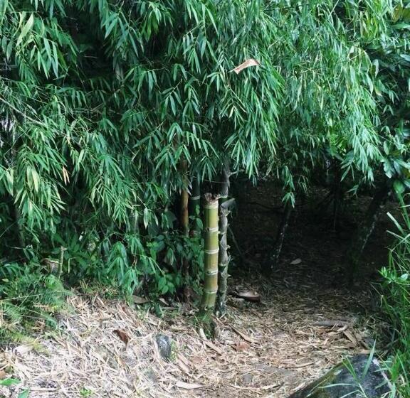 Albergue De Montaña Talari