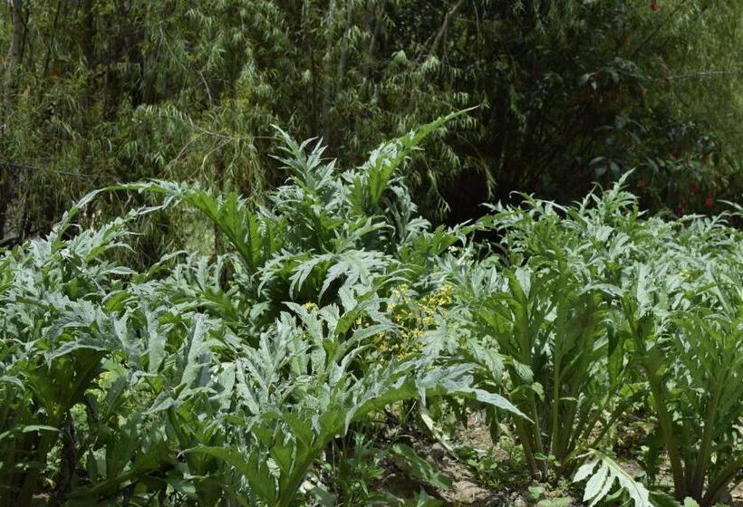 فندق صغير Finca La Tobita Eco