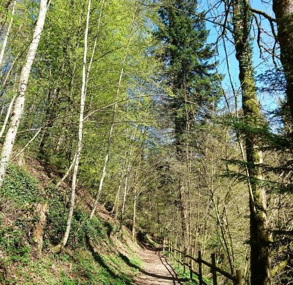 فندق صغير Gasthaus Zum Ochsen