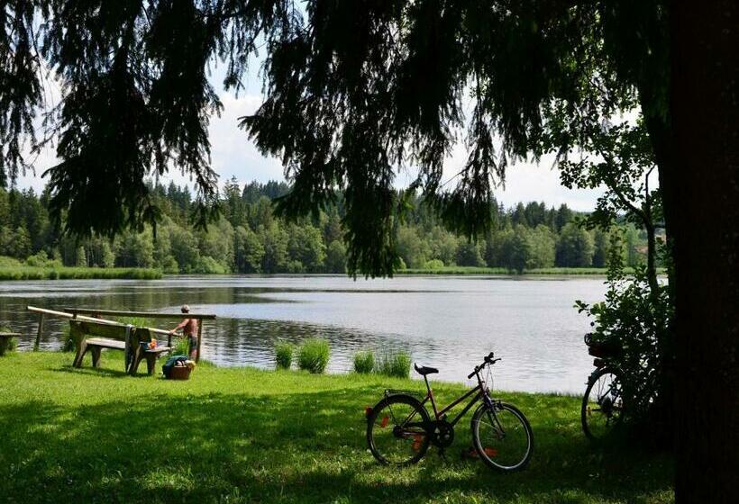 旅馆 Pension Mittelallgäu