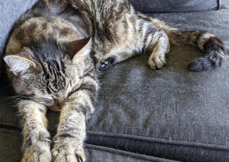 فندق صغير Mahana House Country Inn