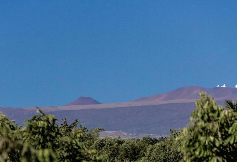 فندق صغير Mahana House Country Inn