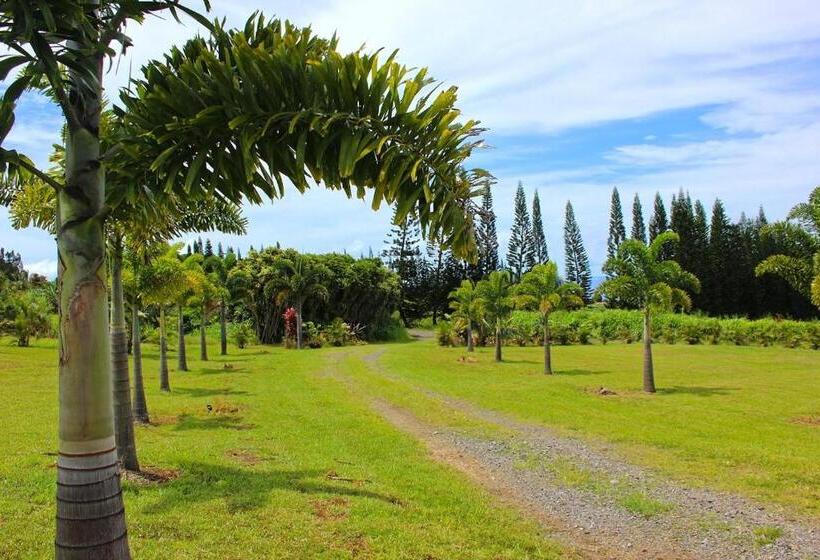 فندق صغير Mahana House Country Inn