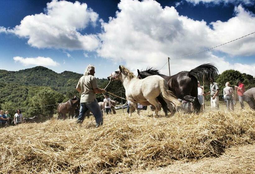 ユースホステル Masseria Monte Pizzi