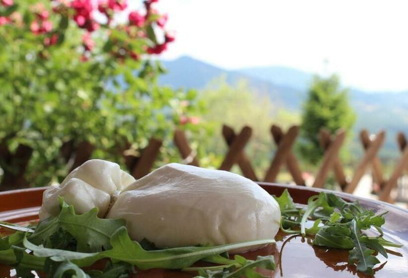 ユースホステル Masseria Monte Pizzi