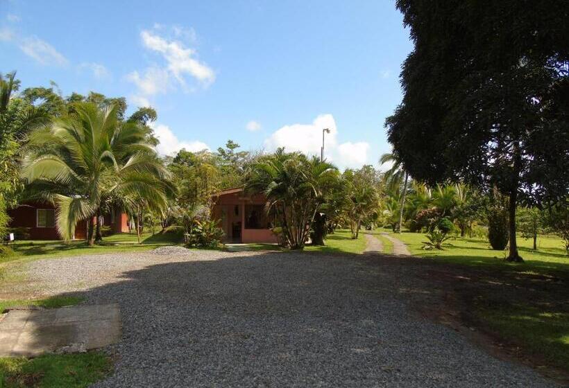 فندق صغير Posada Rural Río Celeste