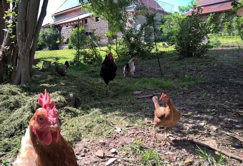 민박 Atelier Reinhart