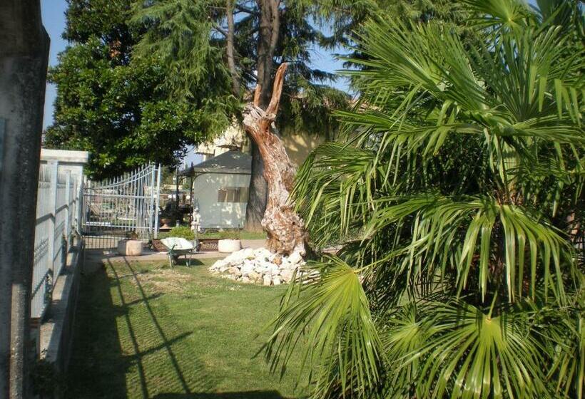 Bed and Breakfast Camere Solidea