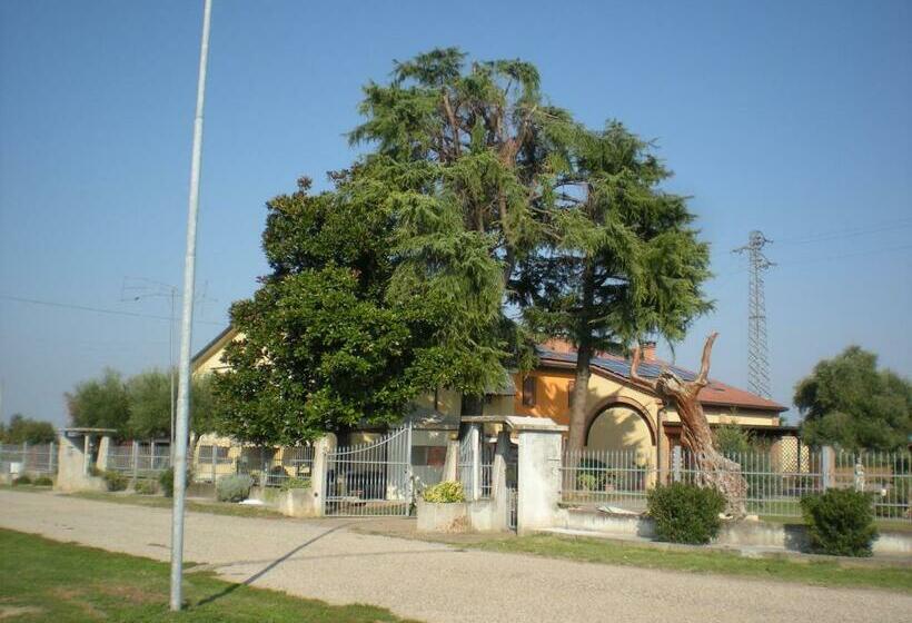 Bed and Breakfast Camere Solidea