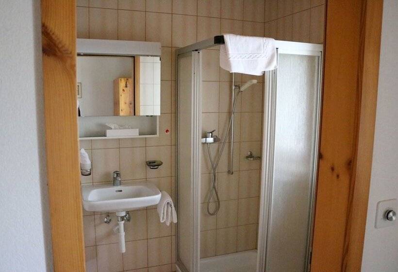 Bed and Breakfast Chasa Randulina